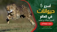 أسرع 5 حيوانات في العالم