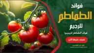 اهم فوائد الطماطم للرجيم تعرف عليها الآن