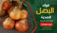 فوائد البصل الصحية تعرف عليها الآن