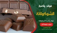 فوائد وأضرار الشوكولاتة علي الصحة