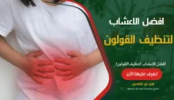 افضل الاعشاب لتنظيف القولون