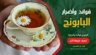 البابونج فوائدة وأضرارة