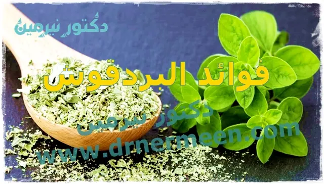 فوائد البردقوش