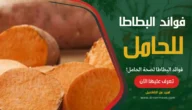 فوائد البطاطا لصحة الحامل