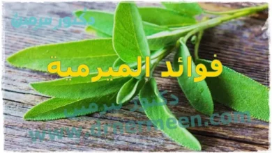 فوائد الميرمية