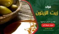 فوائد زيت الزيتون على الريق وقبل النوم