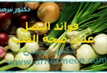 فوائد البصل علي صحة القلب