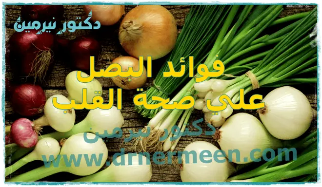 فوائد البصل علي صحة القلب