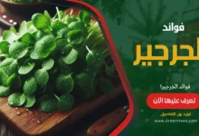 فوائد الجرجير