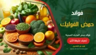 فوائد حمض الفوليك الصحية