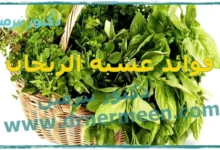 فوائد عشبة الريحان