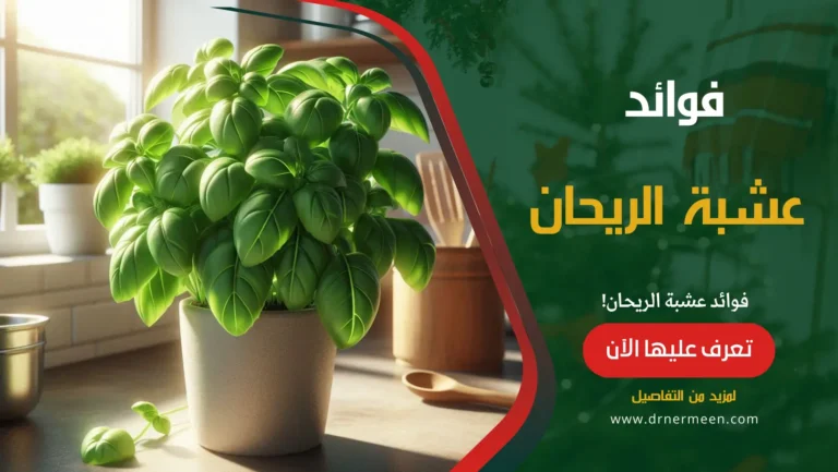 فوائد عشبة الريحان