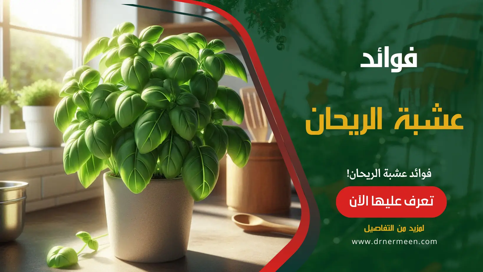 فوائد عشبة الريحان