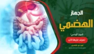 الجهاز الهضمي: بحث شامل ومفصل