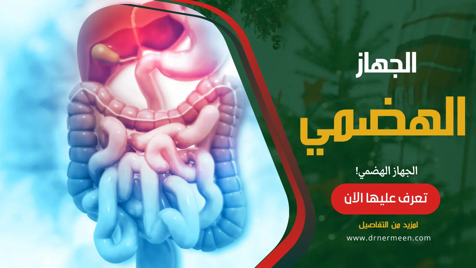 الجهاز الهضمي