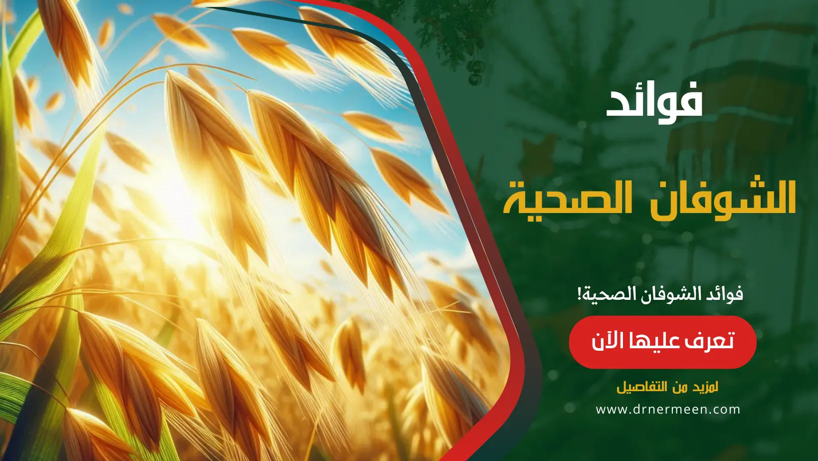 الشوفان: فوائد صحية