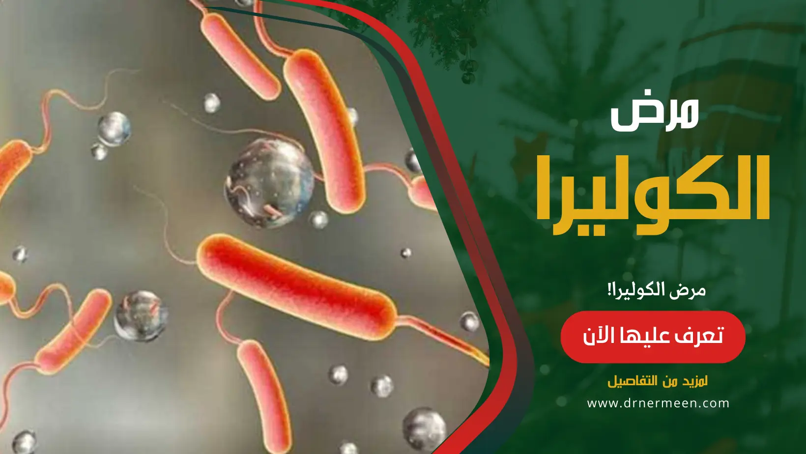 مرض الكوليرا Cholera