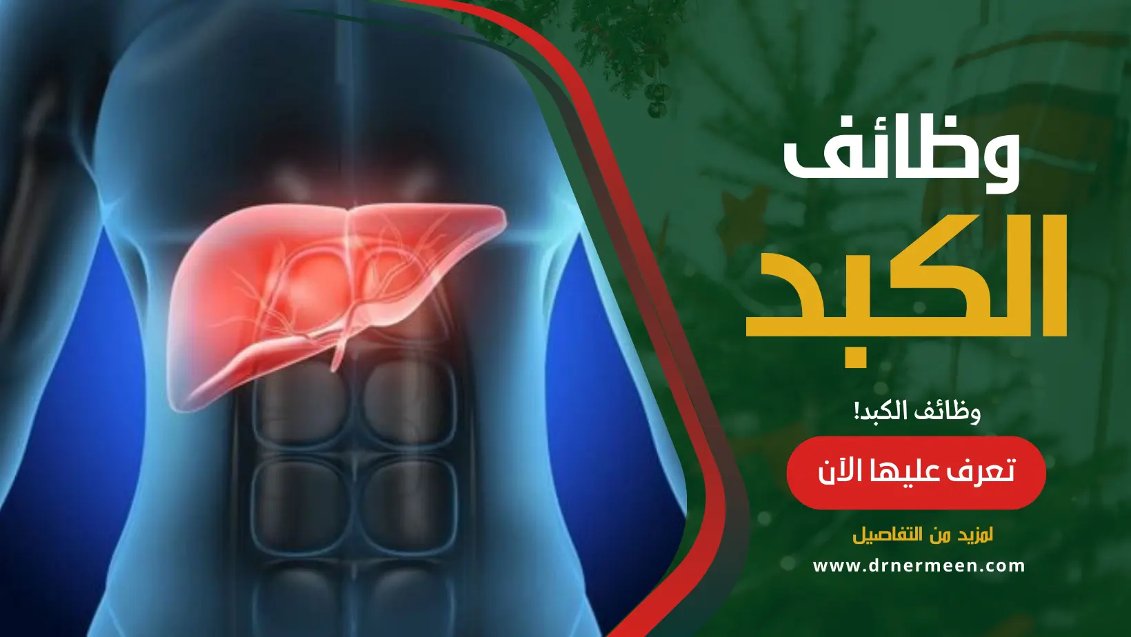 وظائف الكبد