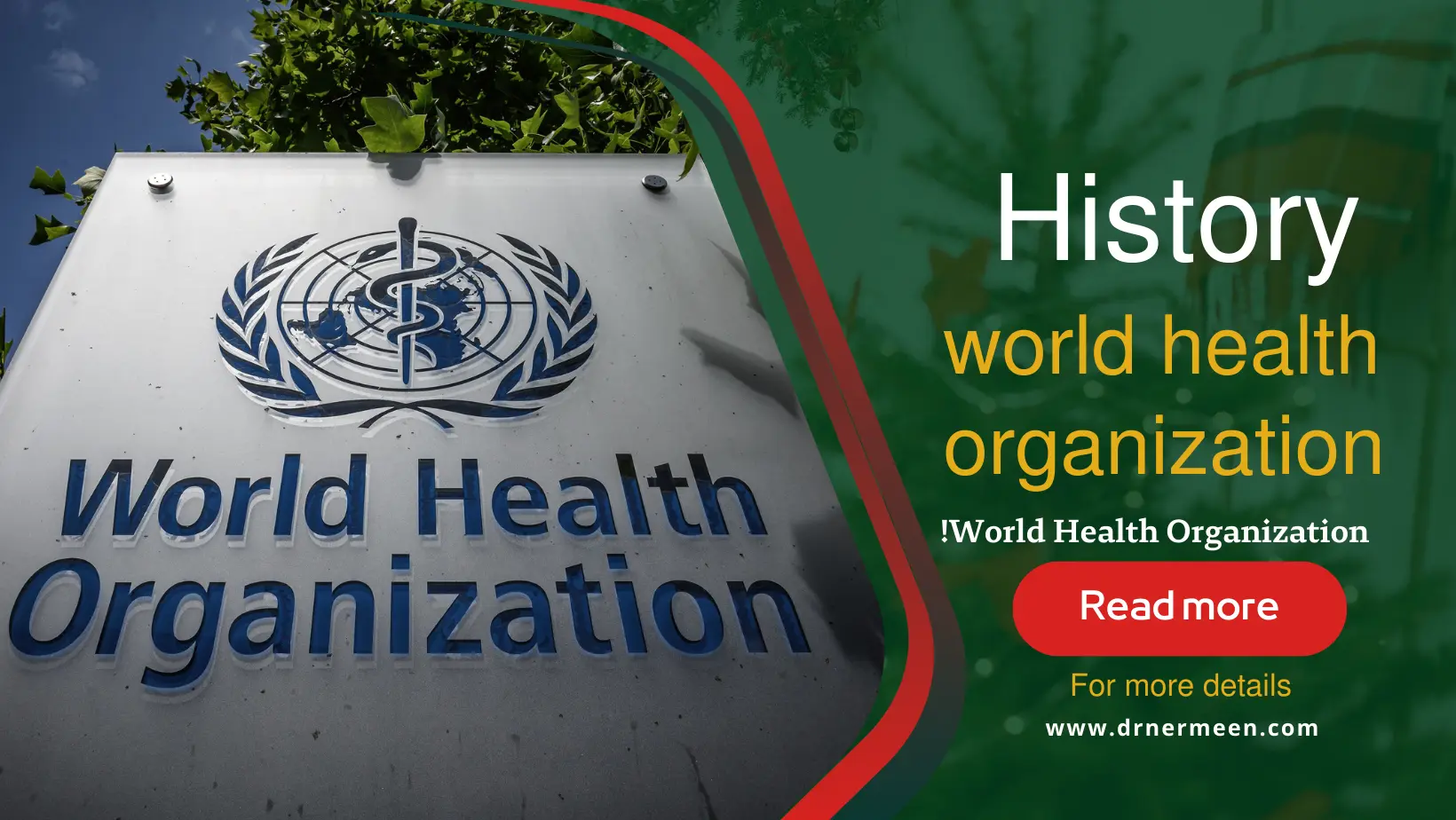 World Health Organization