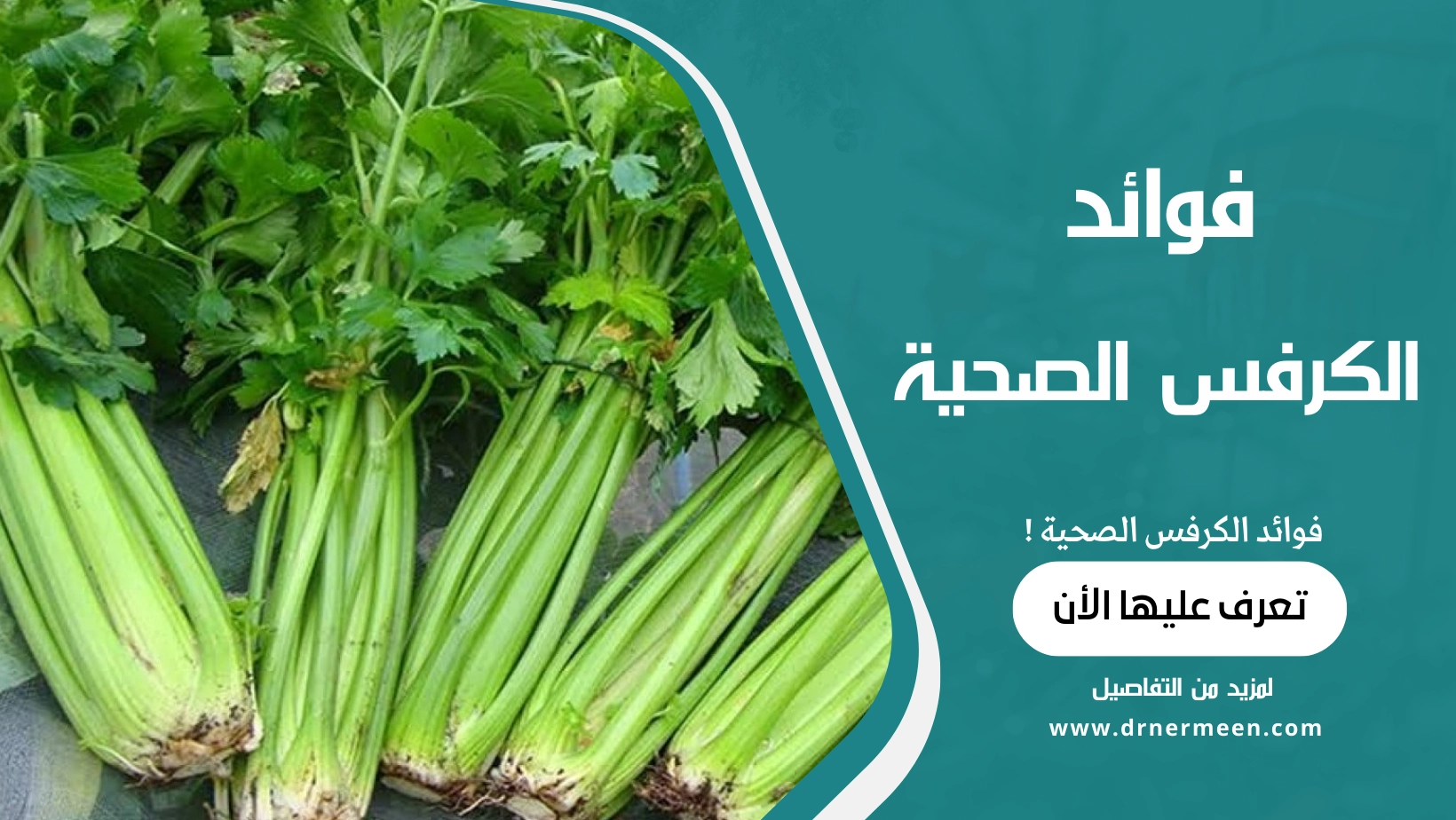 فوائد الكرفس الصحية