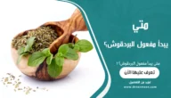 متى يبدأ مفعول البردقوش؟