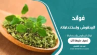 فوائد البردقوش وإستخداماتة