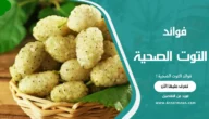 فوائد التوت الصحية: تعرف على كنز طبيعي لجسمك