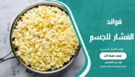 فوائد الفشار للجسم: حقيقة أم خرافة؟