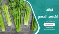 فوائد الكرفس للجسم: لماذا يعتبر الكرفس كنزًا غذائيًا؟