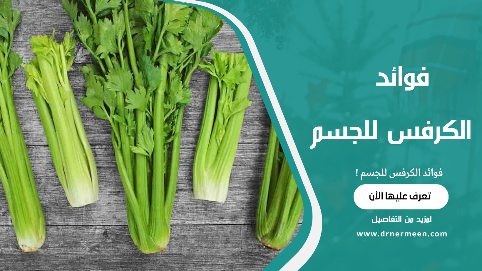 فوائد الكرفس للجسم: لماذا يعتبر الكرفس كنزًا غذائيًا؟