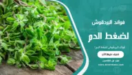 فوائد البردقوش لضغط الدم