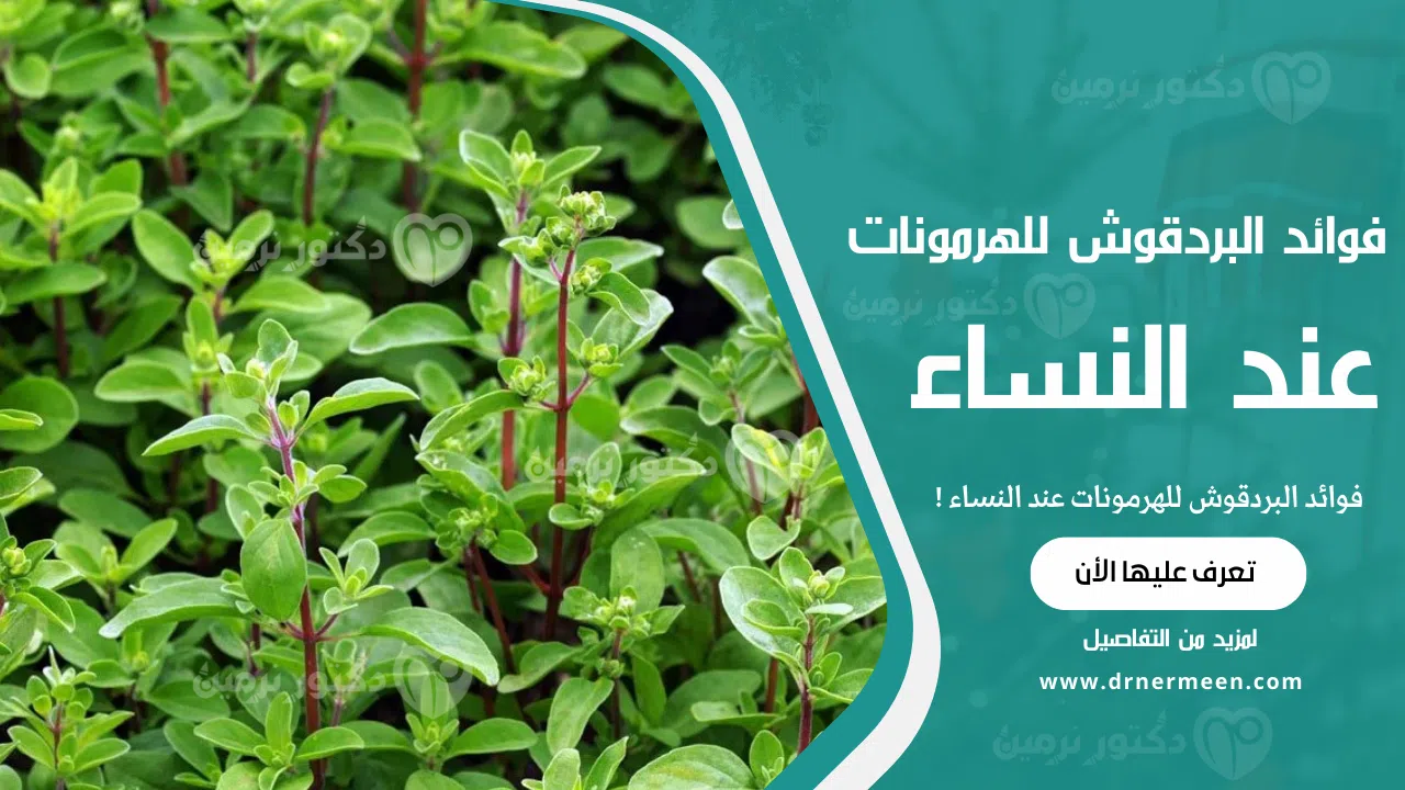 فوائد البردقوش للهرمونات عند النساء