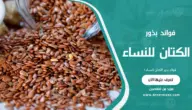 فوائد بذور الكتان للنساء