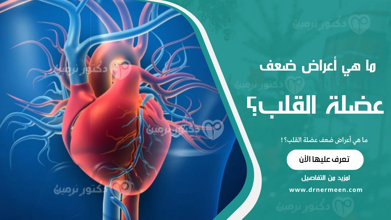 ما هي أعراض ضعف عضلة القلب؟