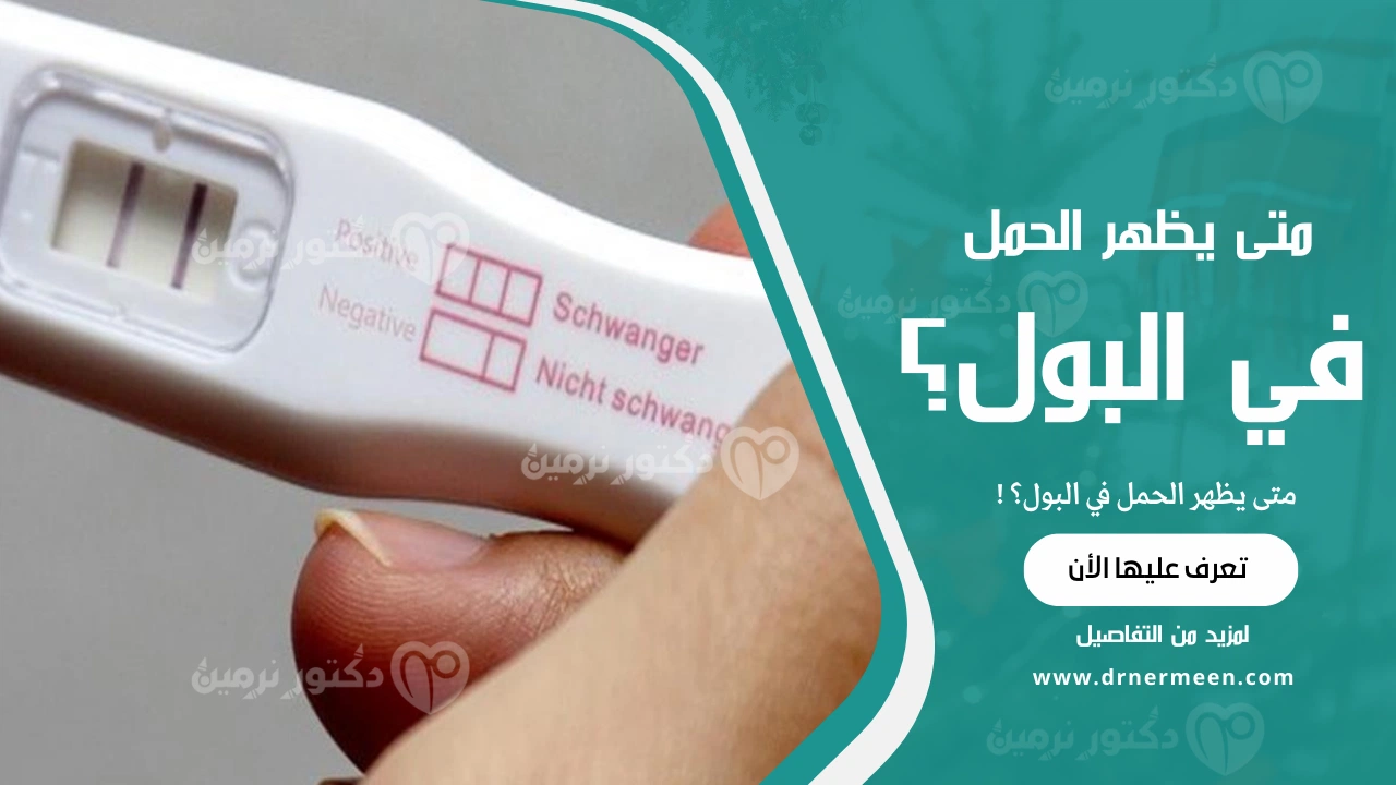 متى يظهر الحمل في البول؟