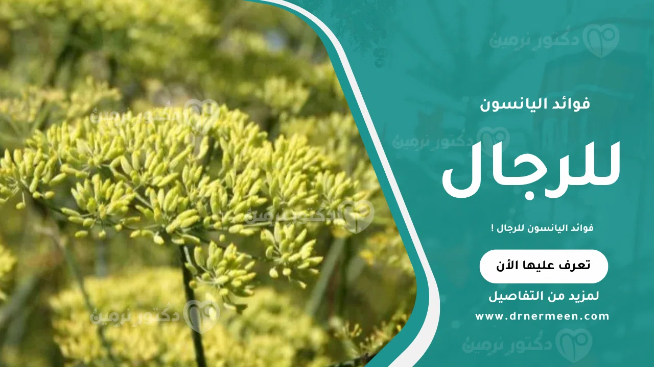 فوائد اليانسون للرجال