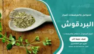 أضرار البردقوش للحوامل والمرضعات