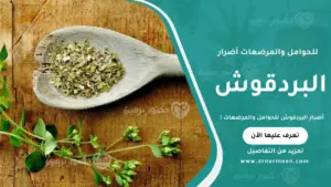 أضرار البردقوش للحوامل والمرضعات وتأثيره على صحة الأم والجنين