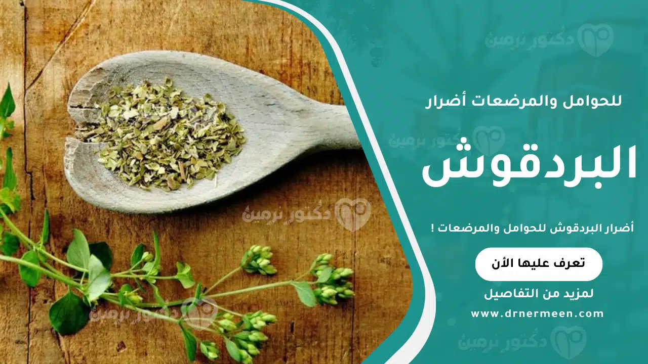 أضرار البردقوش للحوامل والمرضعات