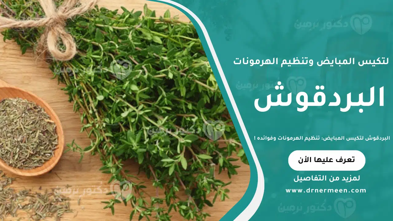 البردقوش لتكيس المبايض وتنظيم الهرمونات وفوائده