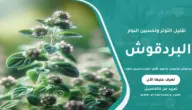 البردقوش للأعصاب والنوم: تقليل التوتر وتحسين النوم