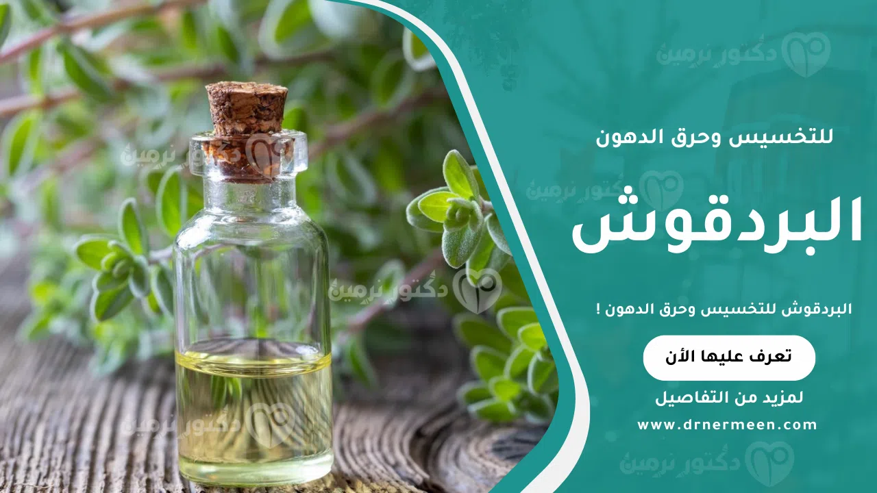 البردقوش للتخسيس وحرق الدهون