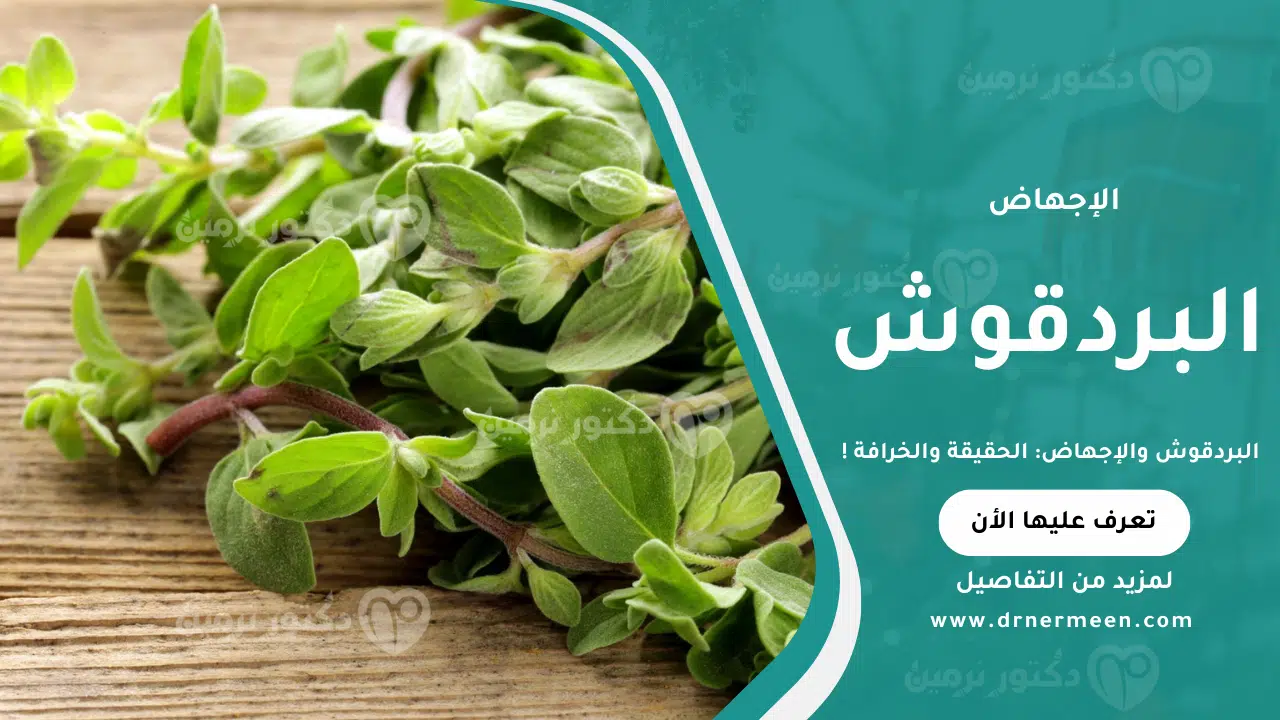 البردقوش والإجهاض: الحقيقة والخرافة