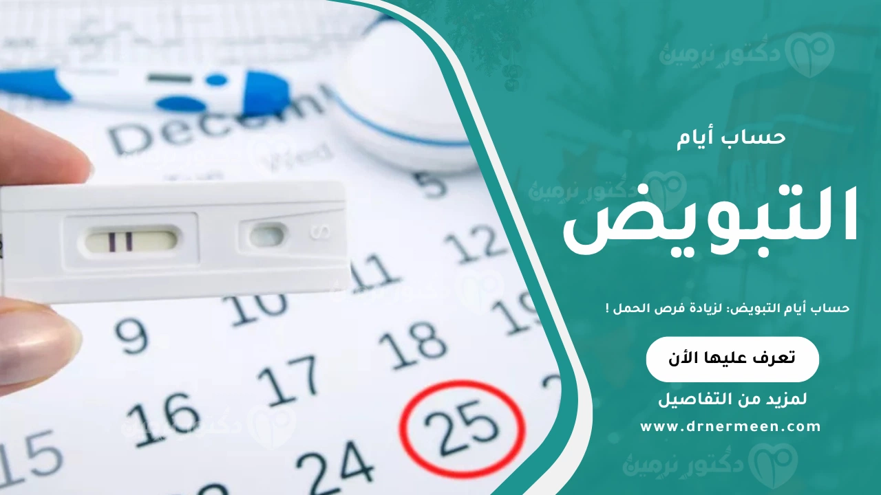 حساب أيام التبويض موضح في صورة تبين كيفية تحديد فترة الخصوبة لزيادة فرص الحمل.