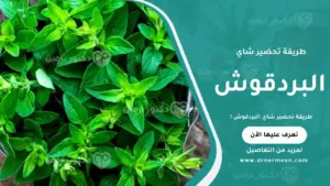 طريقة تحضير شاي البردقوش بخطوات بسيطة وصحيحة