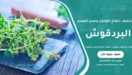 فوائد البردقوش للقولون: تخفيف الانتفاخ وعسر الهضم