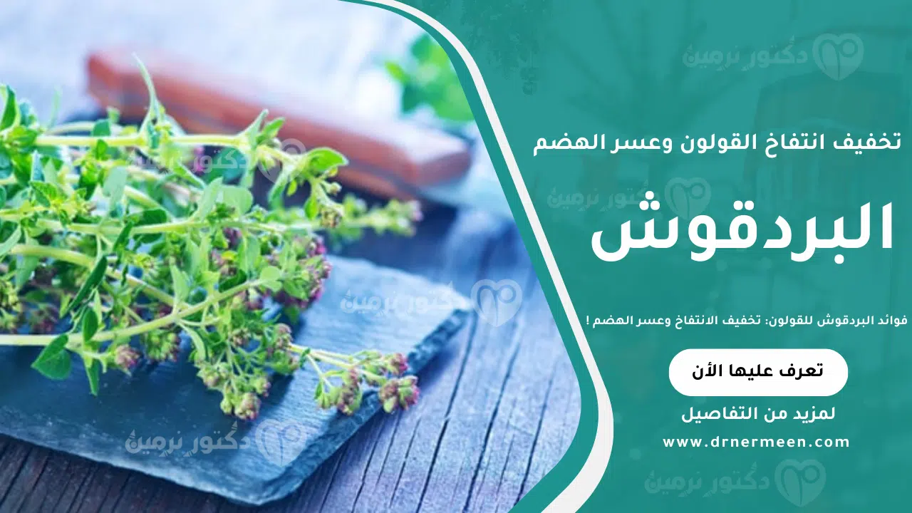 فوائد البردقوش للقولون: تخفيف الانتفاخ وعسر الهضم