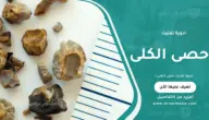 ادوية تفتيت حصى الكلى: أفضل الخيارات وأسرعها فعالية