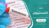 التستيرون: الوظائف، المعدلات الطبيعية، وأسباب الارتفاع والانخفاض