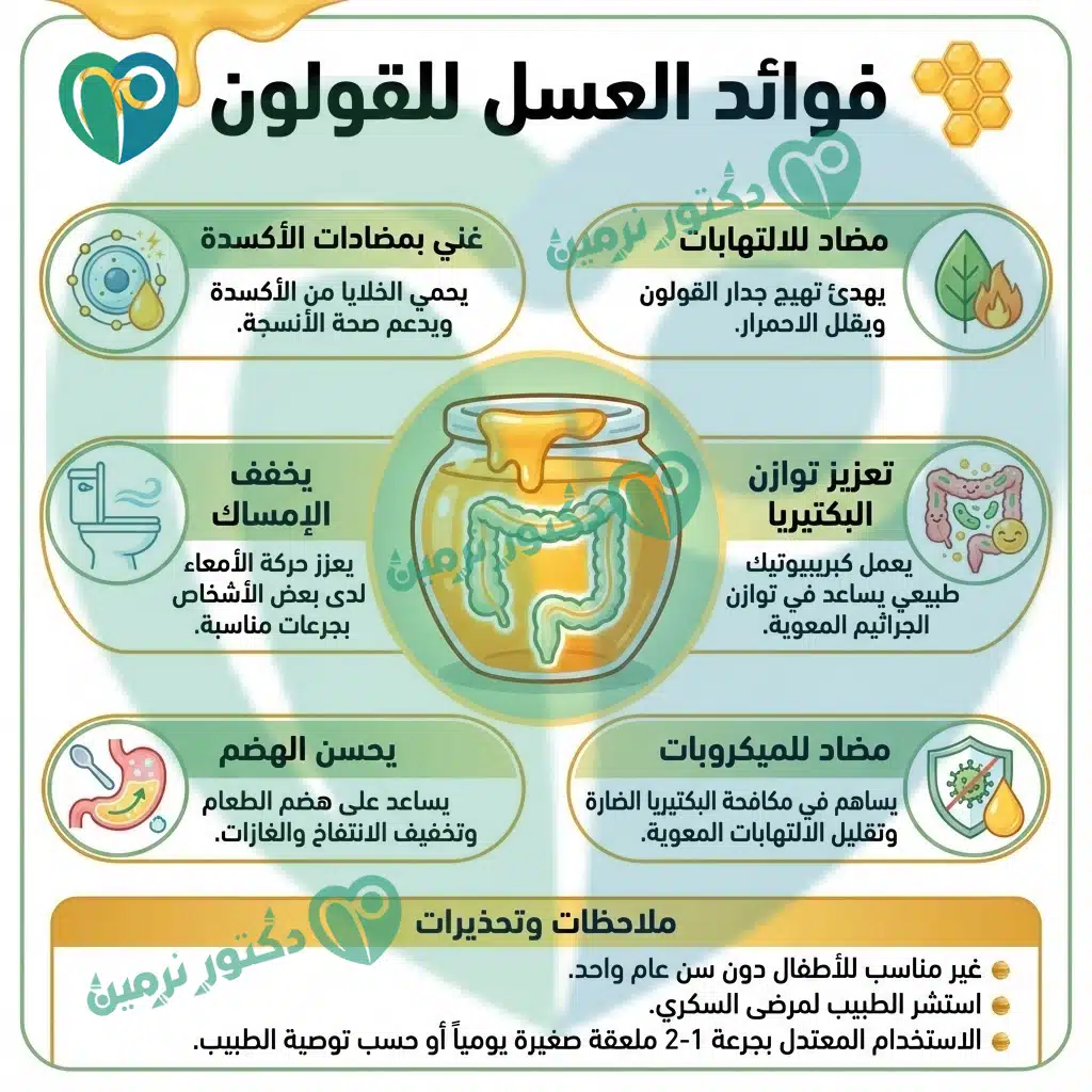 انفوجراف عن فوائد العسل للقولون